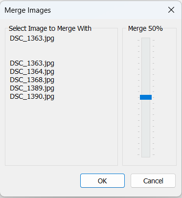 Image Tools > Merge the Images